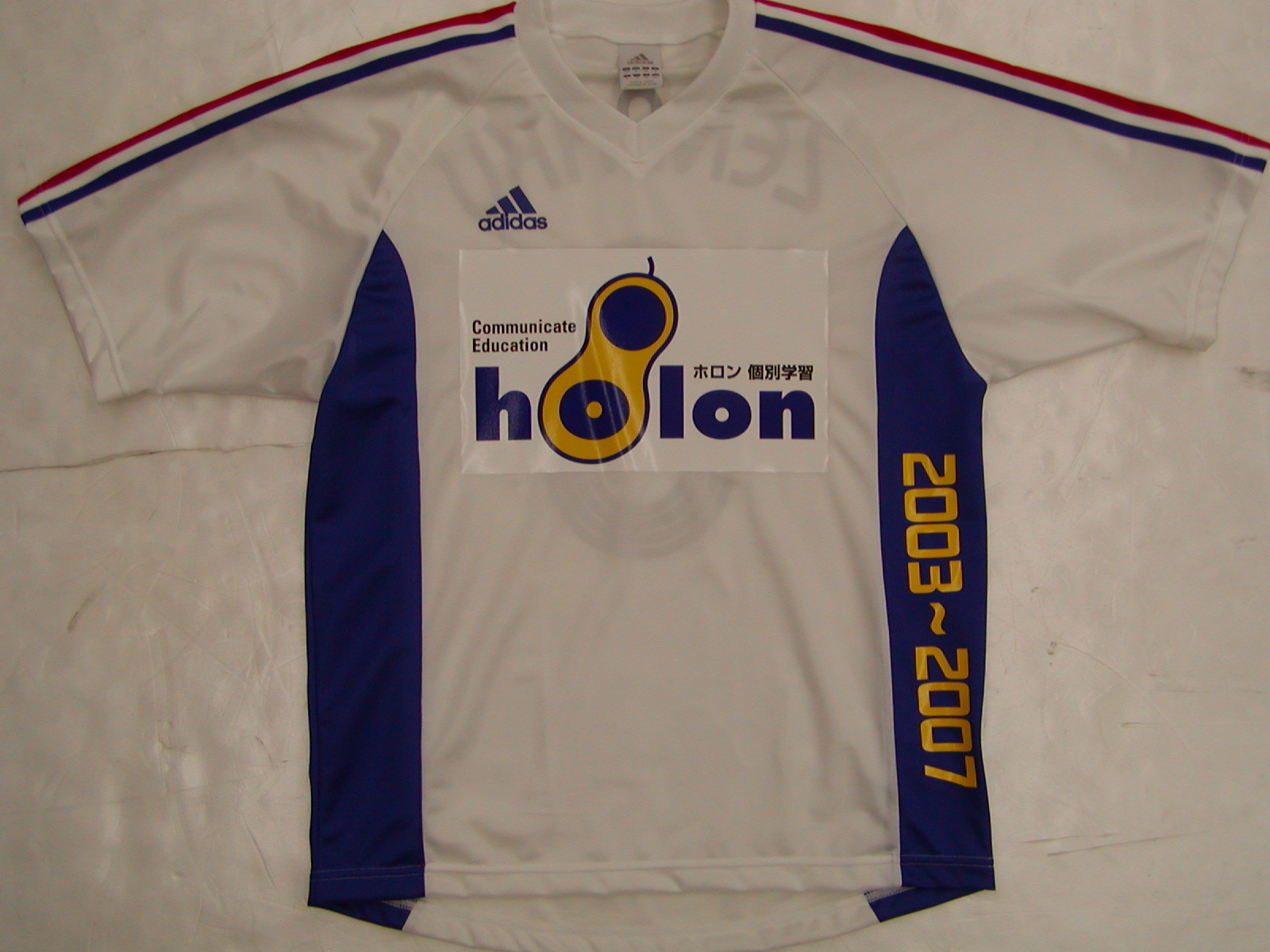 holon