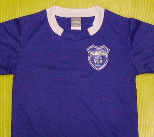 ALEGRUNCli2011NxKj