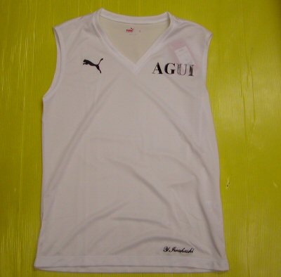 v䍂ZTbJ[li2011NxCi[VcH&Aj