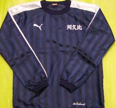 v䍂ZTbJ[li2011NxsXe㉺j
