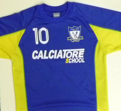 CALCIA TORElJ`g[(TFCXN[2011VjtH[j
