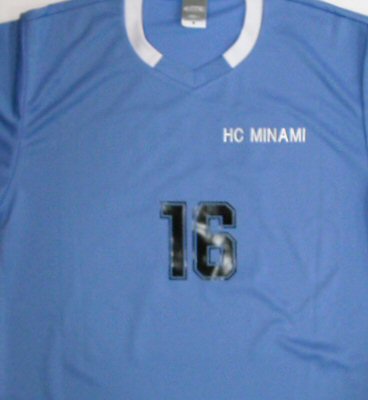 HC MINAMI