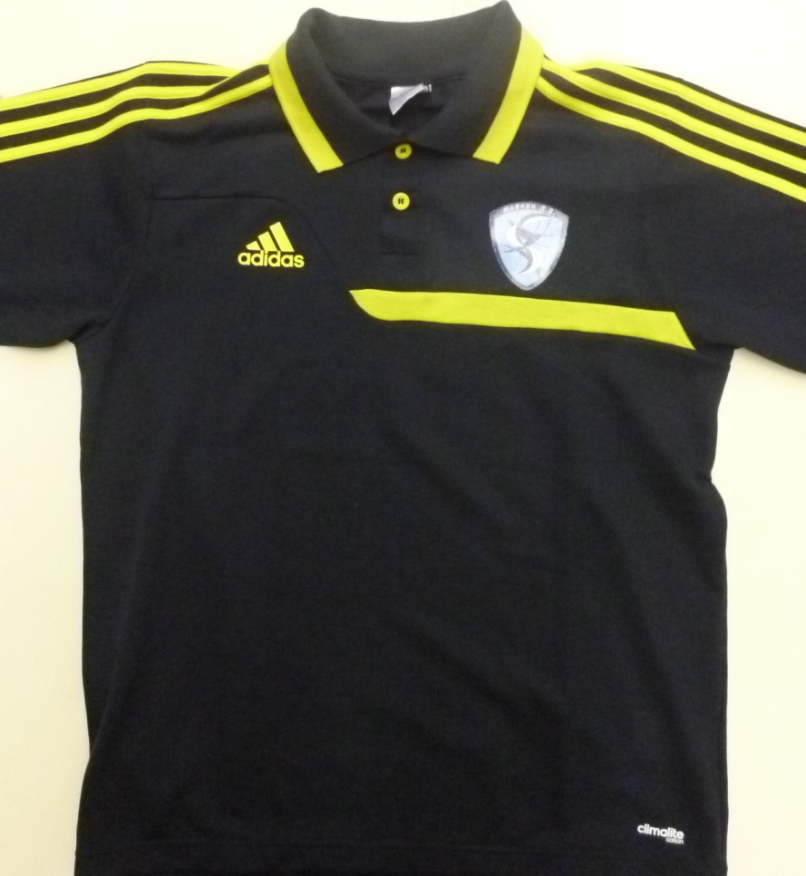 Nagoya S.S.li2013NxX^btEFAj