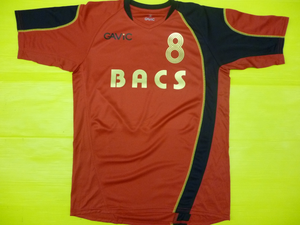 BACSl(2013Nxjj