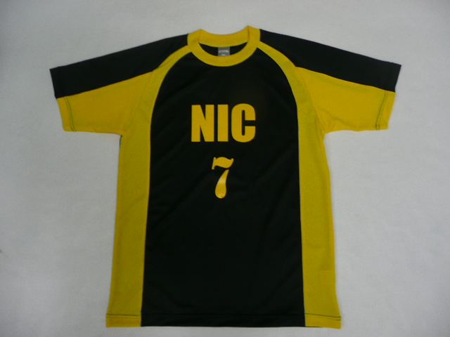 NIC