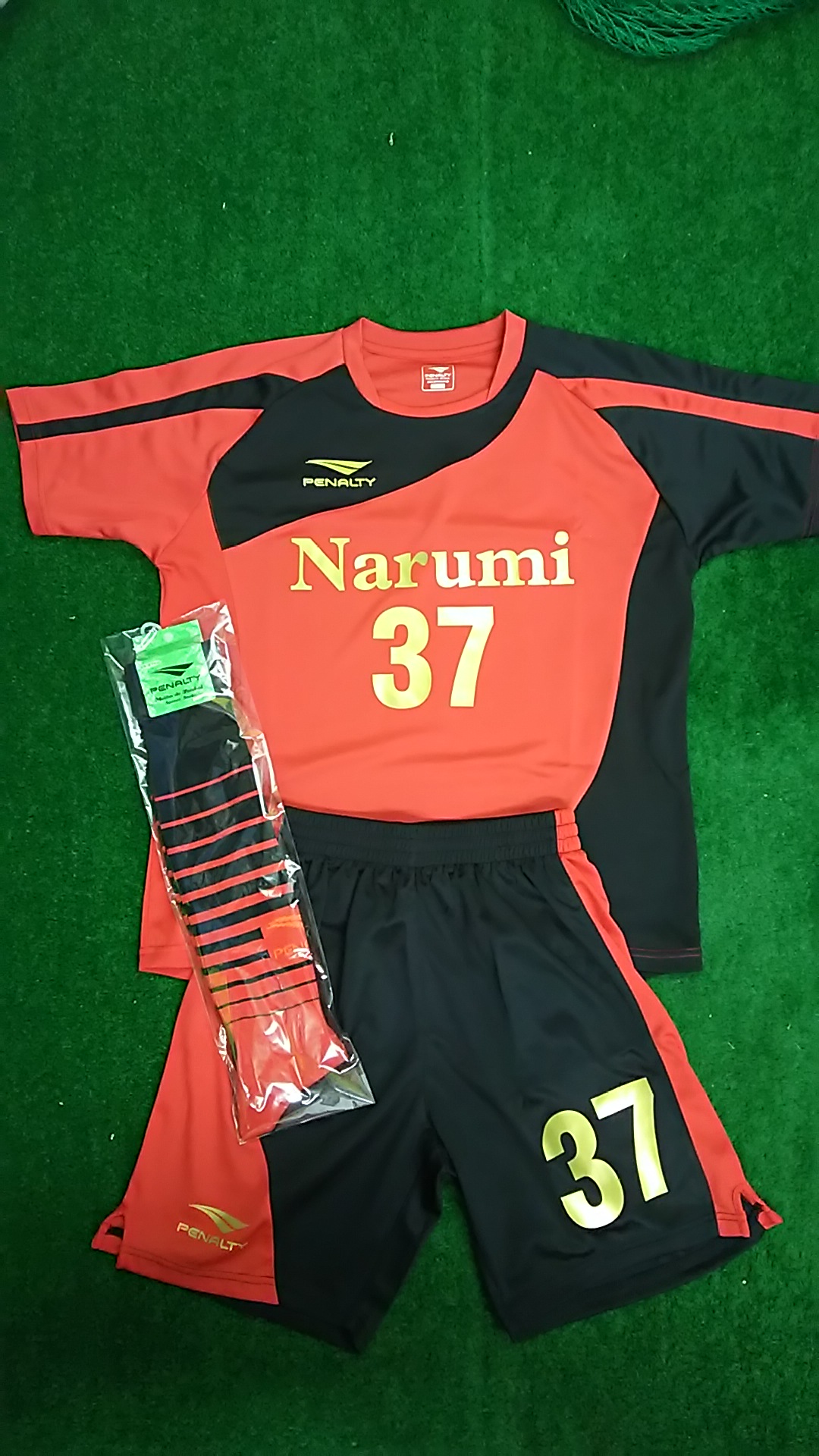CZl(2015NxƋLO)