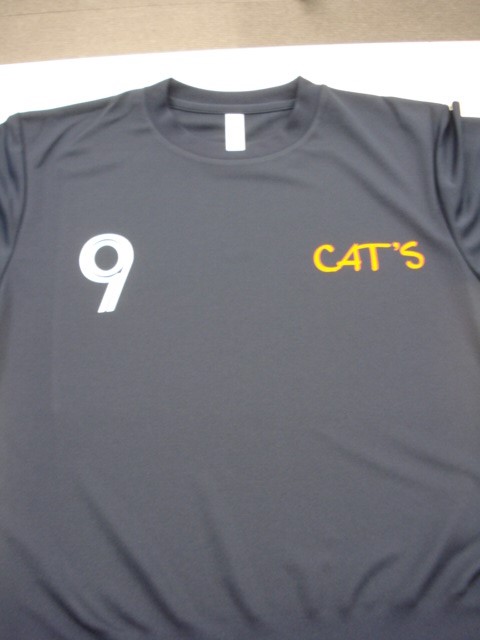 CATfSl