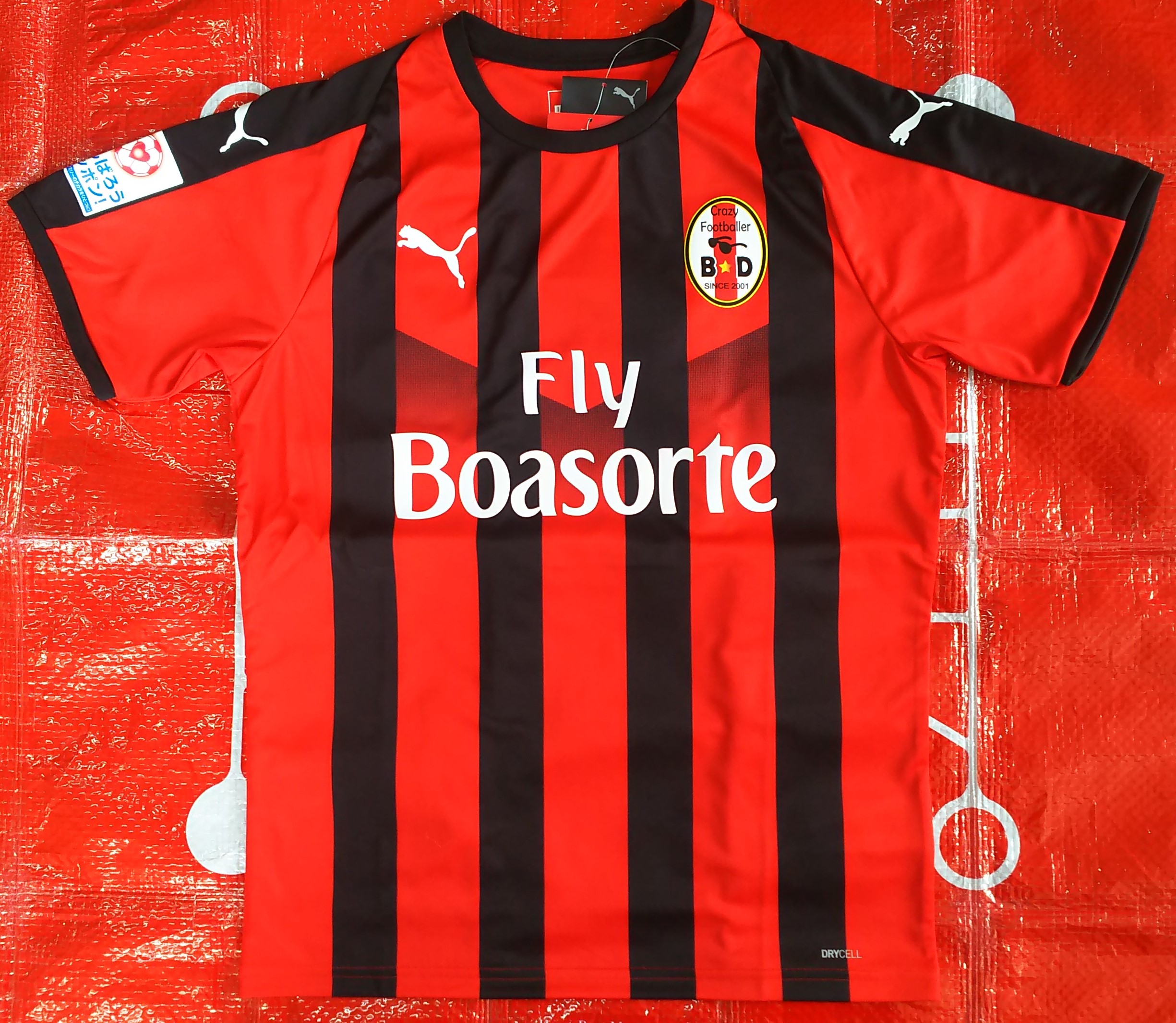 BoasorteliPUMAj